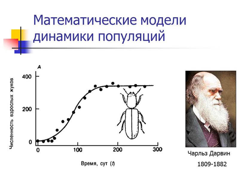 Математические модели динамики популяций