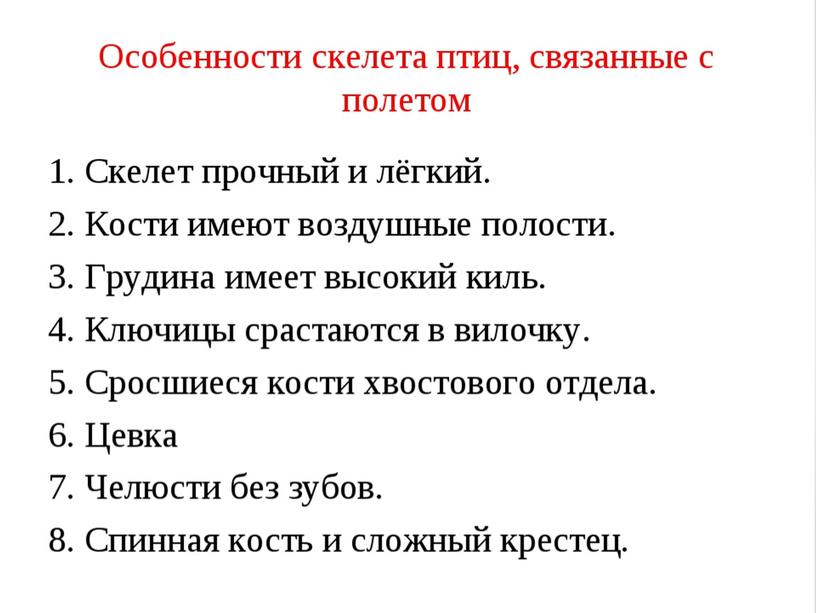 Класс птицы