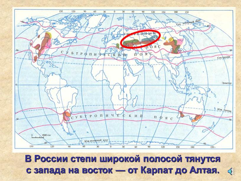 В России степи широкой полосой тянутся с запада на восток — от