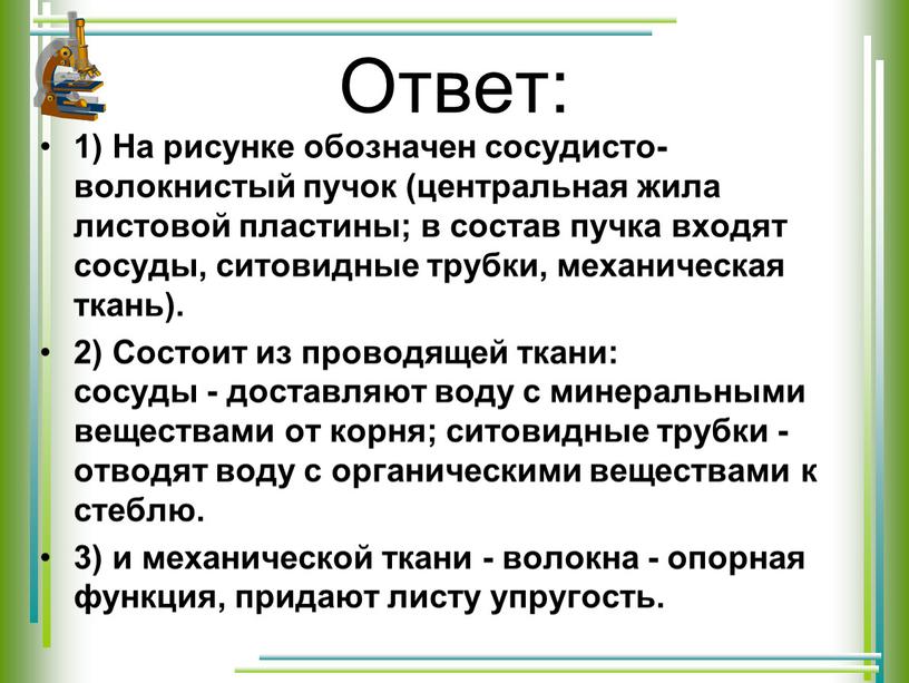 Ответ: 1) На рисунке обозначен сосудисто-волокнистый пучок (центральная жила листовой пластины; в состав пучка входят сосуды, ситовидные трубки, механическая ткань)