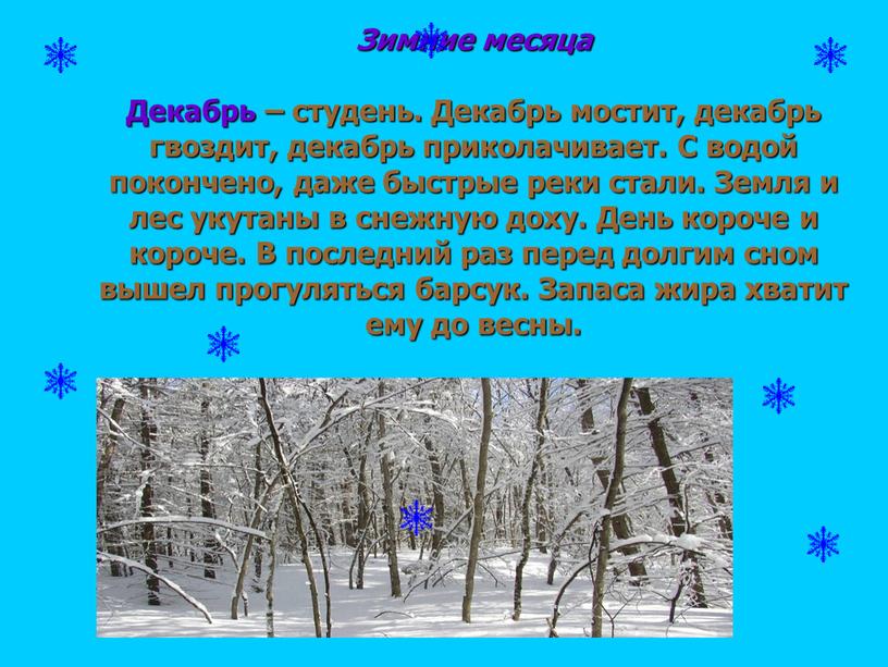 Зимние месяца Декабрь – студень