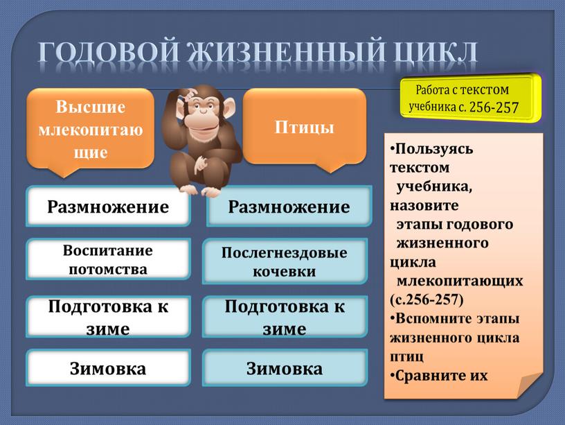 Годовой жизненный цикл Работа с текстом учебника с