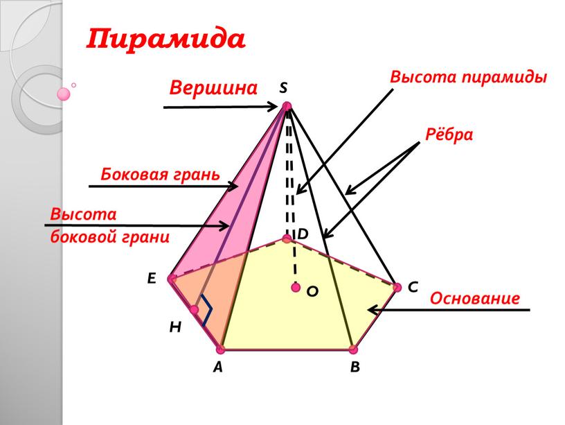 A C D E H B S Вершина Рёбра Основание