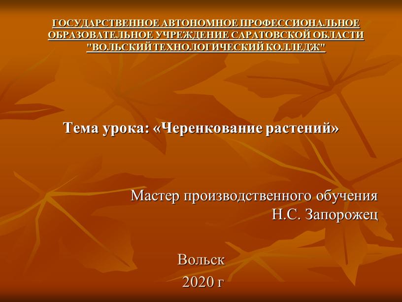 ГОСУДАРСТВЕННОЕ АВТОНОМНОЕ ПРОФЕССИОНАЛЬНОЕ