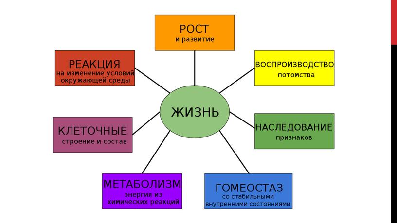 Разнообразие, распространение, значение растений