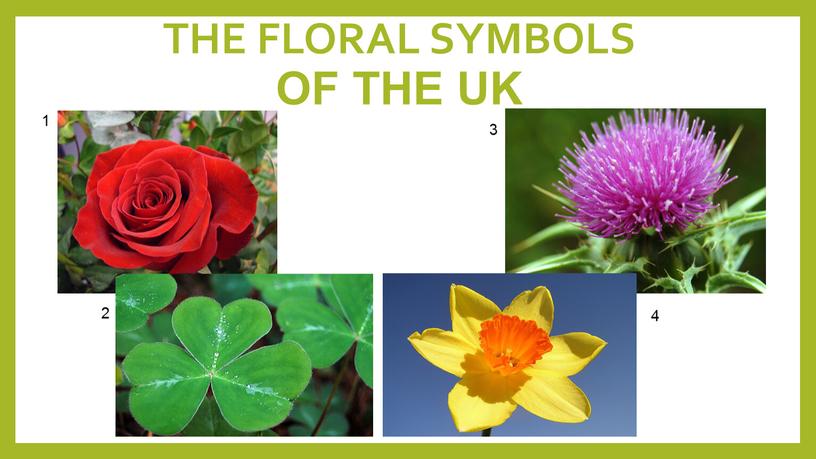 THE FLORAL SYMBOLS OF THE UK 1 2 3 4