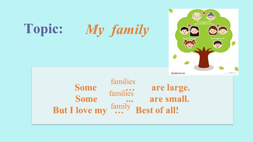 Topic: My family Some … are large