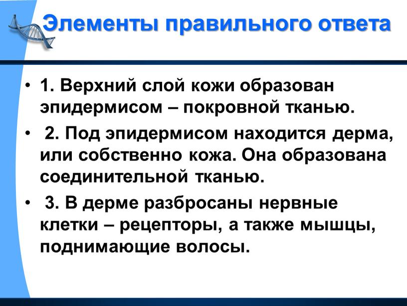 Элементы правильного ответа 1