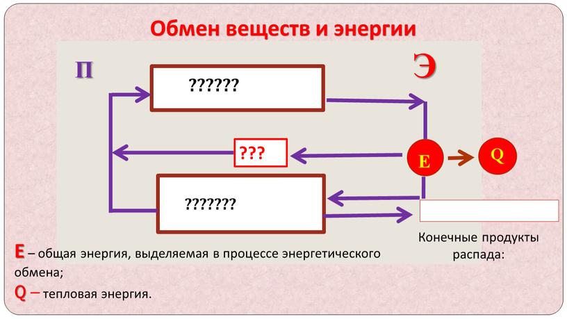 Обмен веществ и энергии П