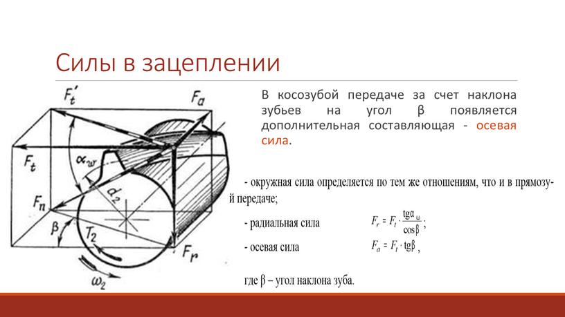 Силы в зацеплении В косозубой передаче за счет наклона зубьев на угол β появляется дополнительная составляющая - осевая сила