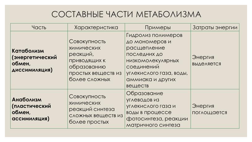 СОСТАВНЫЕ ЧАСТИ МЕТАБОЛИЗМА Часть