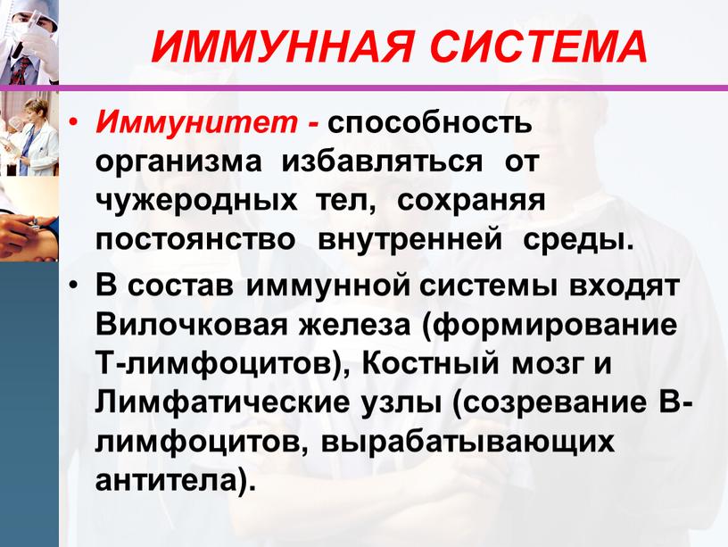 ИММУННАЯ СИСТЕМА Иммунитет - способность организма избавляться от чужеродных тел, сохраняя постоянство внутренней среды