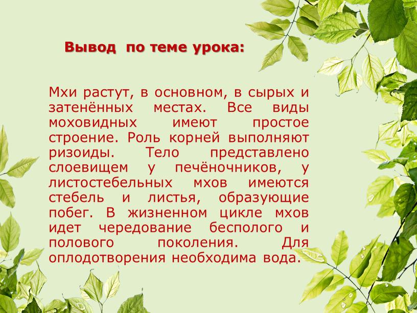 Вывод по теме урока: Мхи растут, в основном, в сырых и затенённых местах