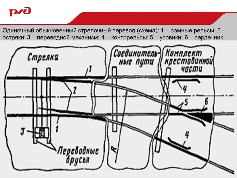 Одиночный обыкновенный стрелочный перевод (схема): 1 – рамные рельсы; 2 – остряки; 3 – переводной механизм; 4 – контррельсы; 5 – усовики; 6 – сердечник