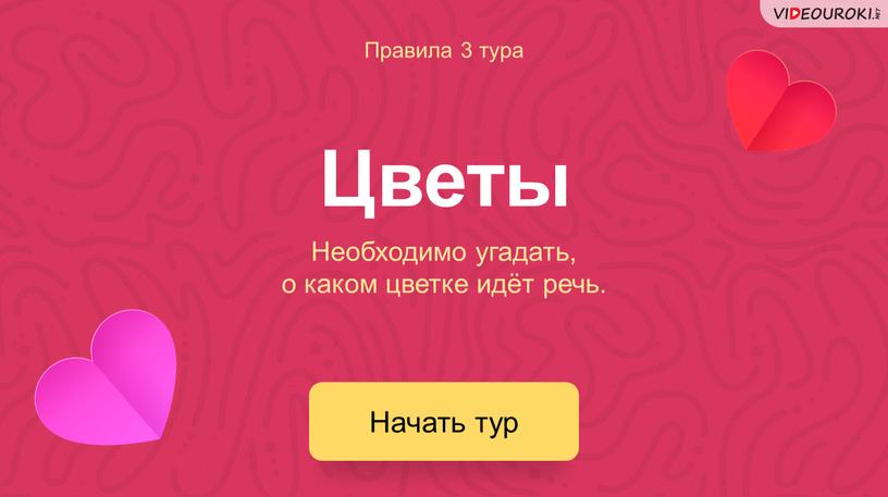 Необходимо угадать, о каком цветке идёт речь