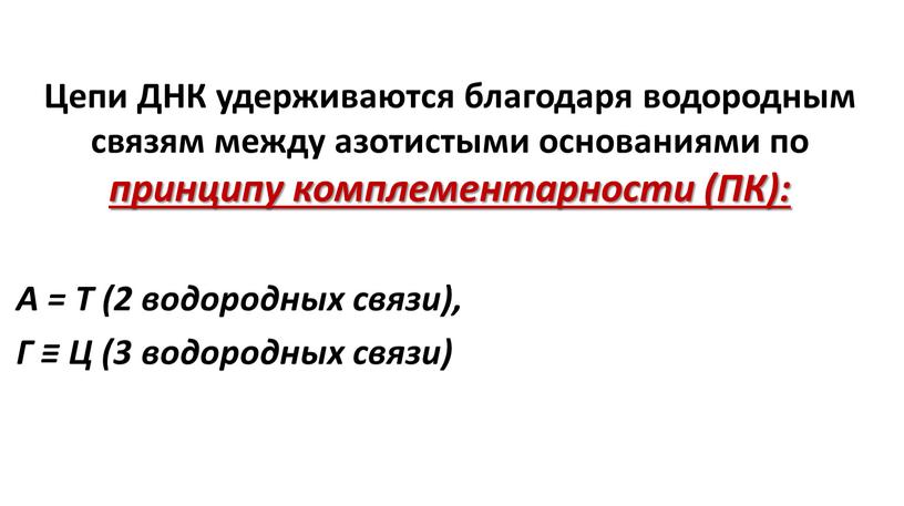 Цепи ДНК удерживаются благодаря водородным связям между азотистыми основаниями по принципу комплементарности (ПК):