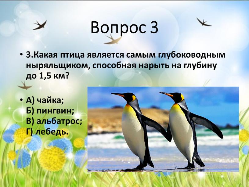 Какая птица является самым глубоководным ныряльщиком, способная нарыть на глубину до 1,5 км?