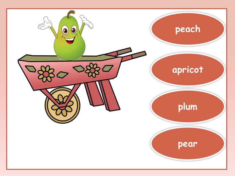 plum pear apricot peach
