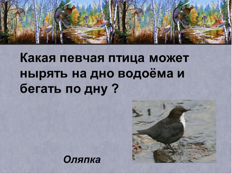 Какая певчая птица может нырять на дно водоёма и бегать по дну ?