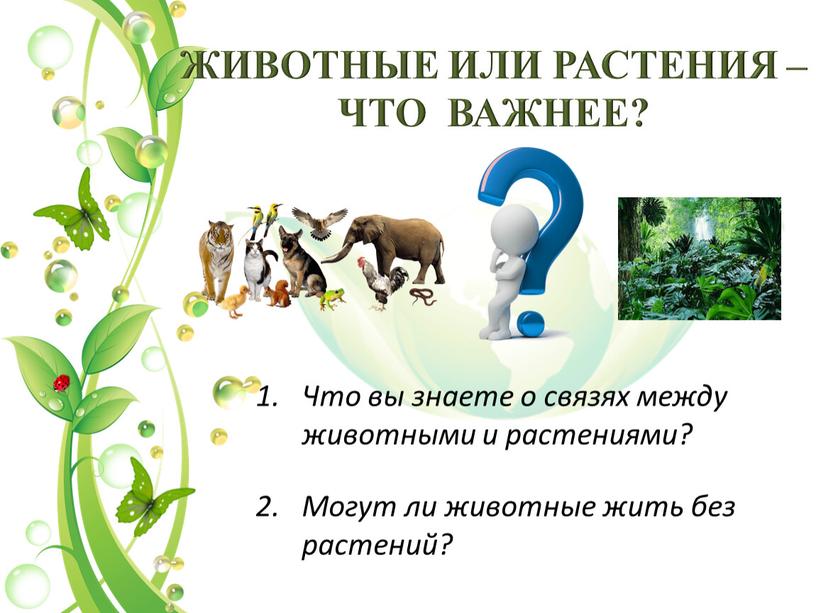 ЖИВОТНЫЕ ИЛИ РАСТЕНИЯ – ЧТО ВАЖНЕЕ?