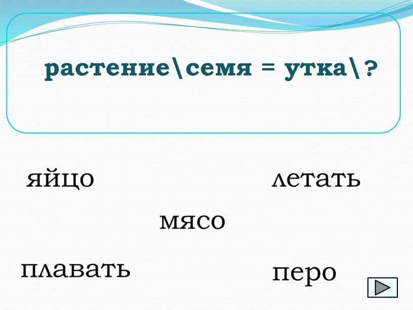 мясо растение\семя = утка\ ? летать перо яйцо плавать