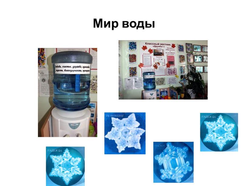 Мир воды