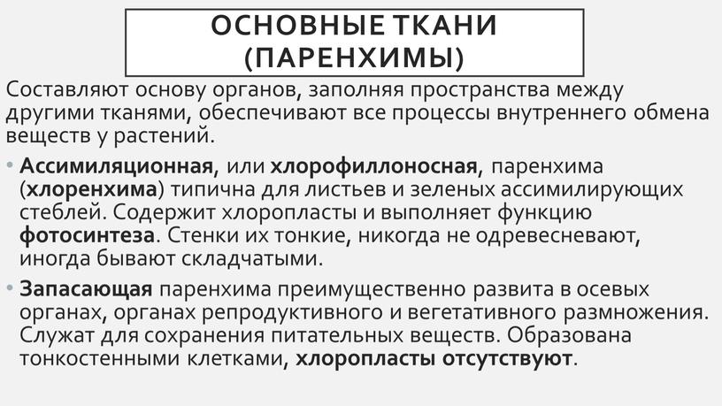 Основные ткани (паренхимы) Составляют основу органов, заполняя пространства между другими тканями, обеспечивают все процессы внутреннего обмена веществ у растений