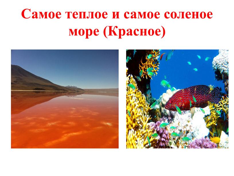 Самое теплое и самое соленое море (Красное)