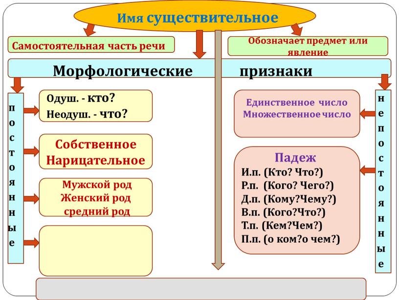 Имя существительное Собственное