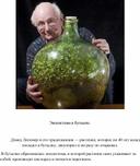 Обложка для материала Экосистема в бутылке.