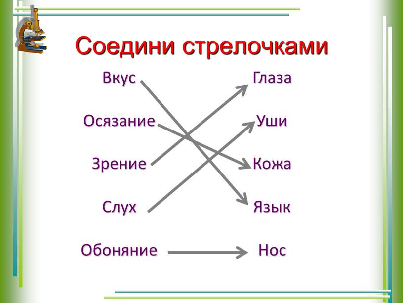 Соедини стрелочками Глаза Уши Кожа