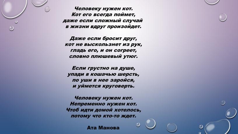 Человеку нужен кот. Кот его всегда поймет, даже если сложный случай в жизни вдруг произойдет