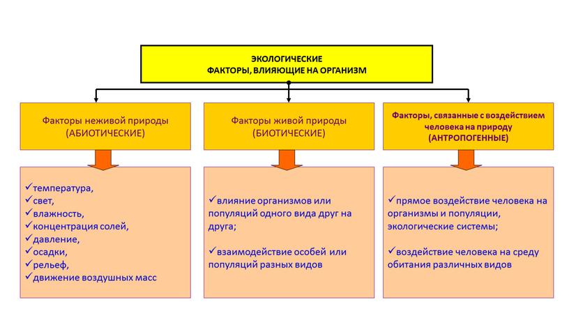 ЭКОЛОГИЧЕСКИЕ ФАКТОРЫ, ВЛИЯЮЩИЕ