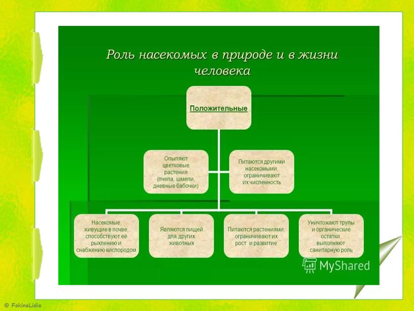 Презентация. Использование  схем и таблиц  на уроках географии и биологии