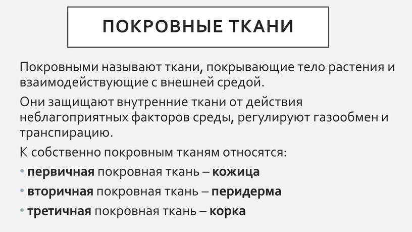 Покровные ткани Покровными называют ткани, покрывающие тело растения и взаимодействующие с внешней средой