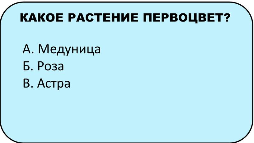 КАКОЕ РАСТЕНИЕ ПЕРВОЦВЕТ? А. Медуница