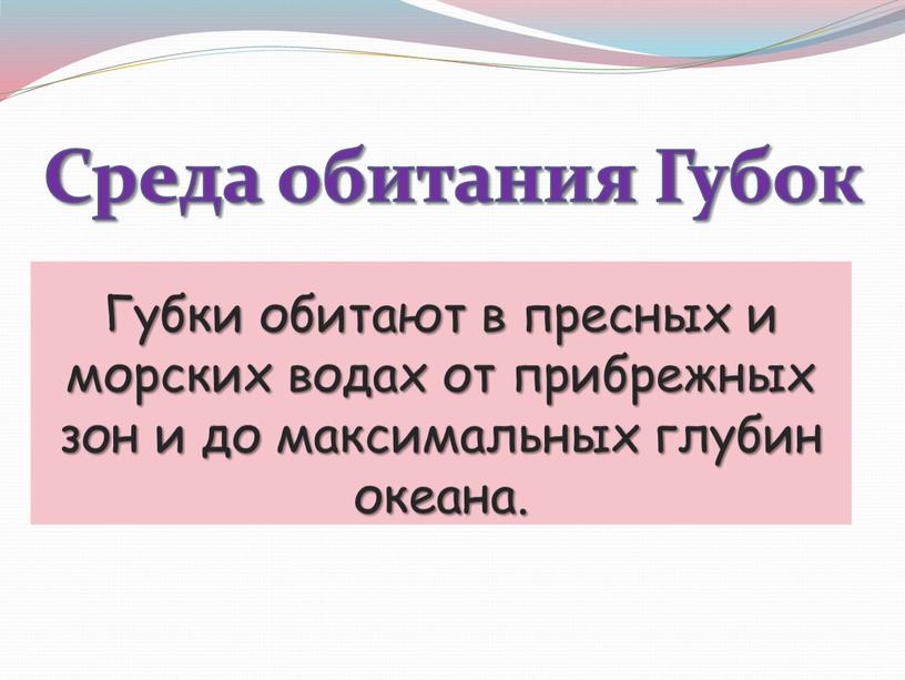 Среда обитания Губок Губки обитают в пресных и морских водах от прибрежных зон и до максимальных глубин океана