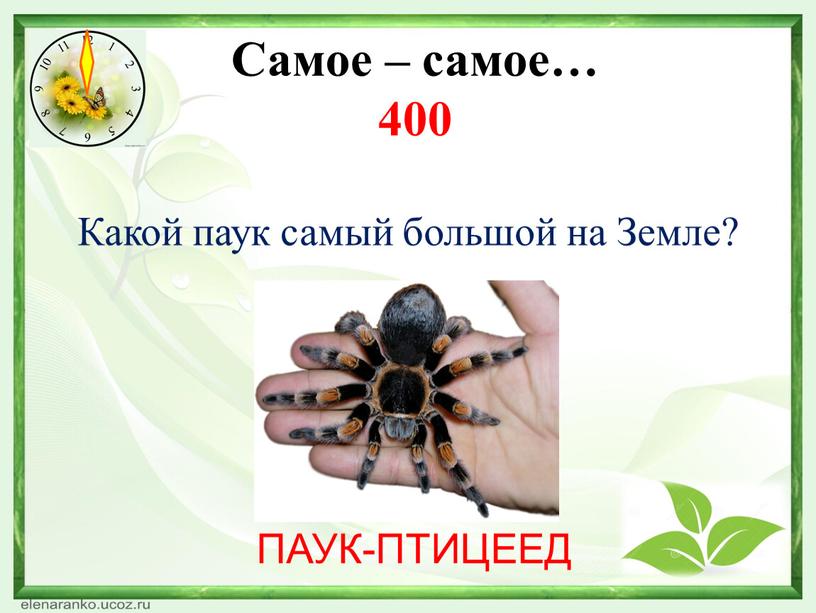Какая нить в природе самая тонкая. Смотреть фото Какая нить в природе самая тонкая. Смотреть картинку Какая нить в природе самая тонкая. Картинка про Какая нить в природе самая тонкая. Фото Какая нить в природе самая тонкая
