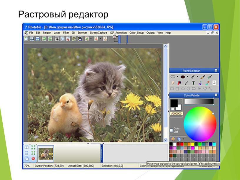 Растровый редактор