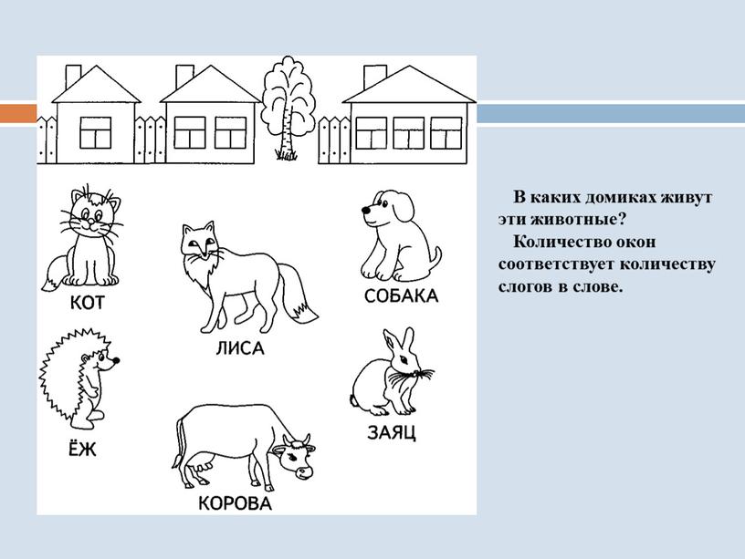 В каких домиках живут эти животные?