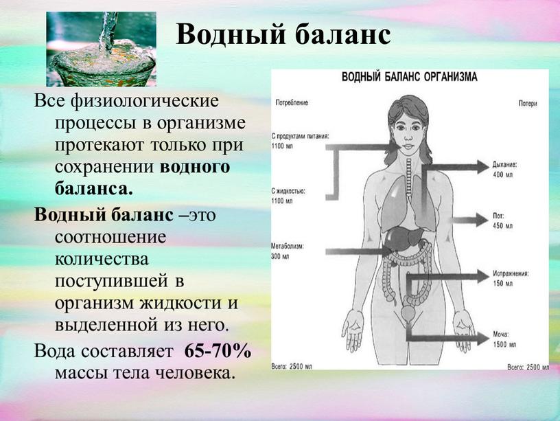 Водный баланс Все физиологические процессы в организме протекают только при сохранении водного баланса