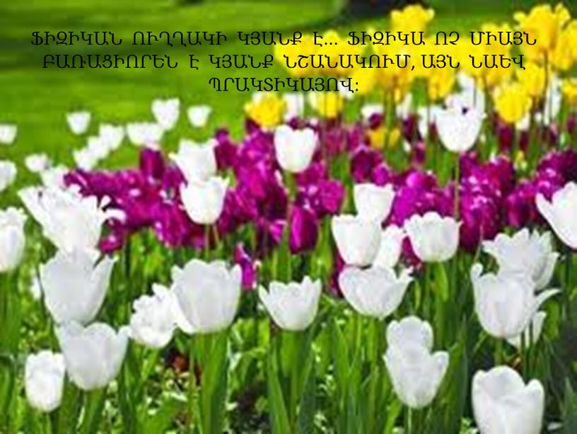 ՖԻԶԻԿԱՆ ՈՒՂՂԱԿԻ ԿՅԱՆՔ Է... ՖԻԶԻԿԱ ՈՉ ՄԻԱՅՆ ԲԱՌԱՑԻՈՐԵՆ Է ԿՅԱՆՔ ՆՇԱՆԱԿՈՒՄ, ԱՅՆ ՆԱԵՎ ՊՐԱԿՏԻԿԱՅՈՎ: