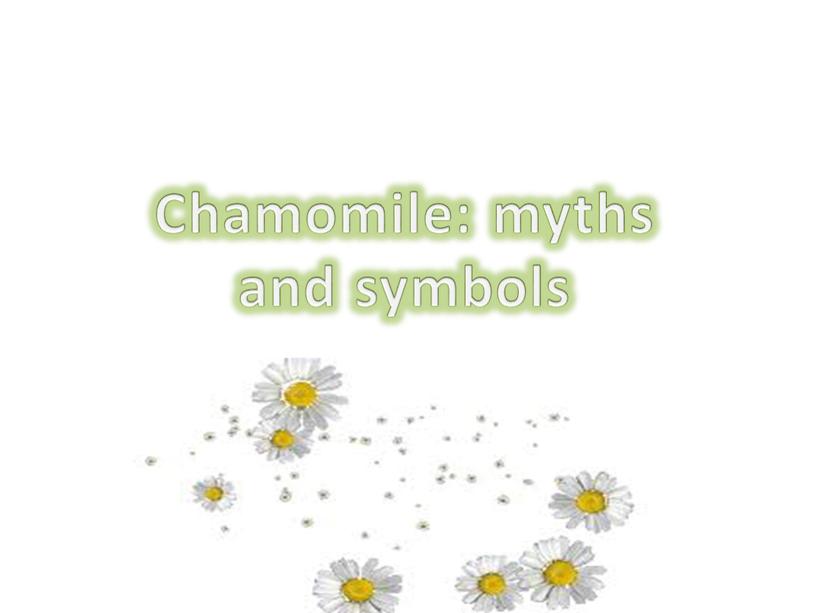 Chamomile: myths and symbols