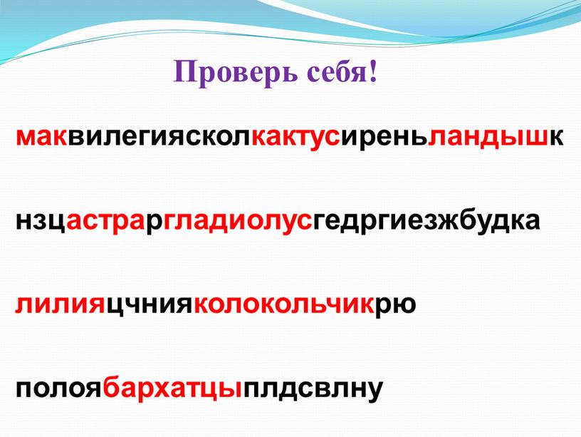 Проверь себя! маквилегиясколкактусиреньландышк нзцастраргладиолусгедргиезжбудка лилияцчнияколокольчикрю полоябархатцыплдсвлну