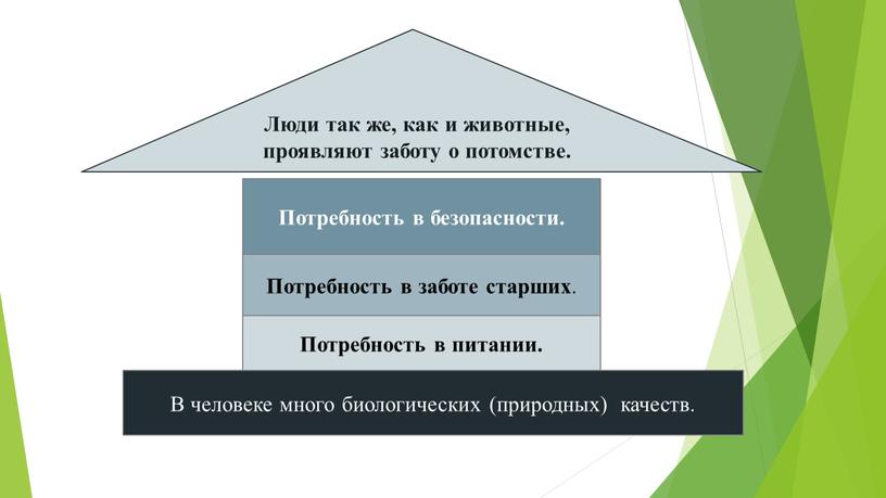 Потребность в питании. Потребность в заботе старших