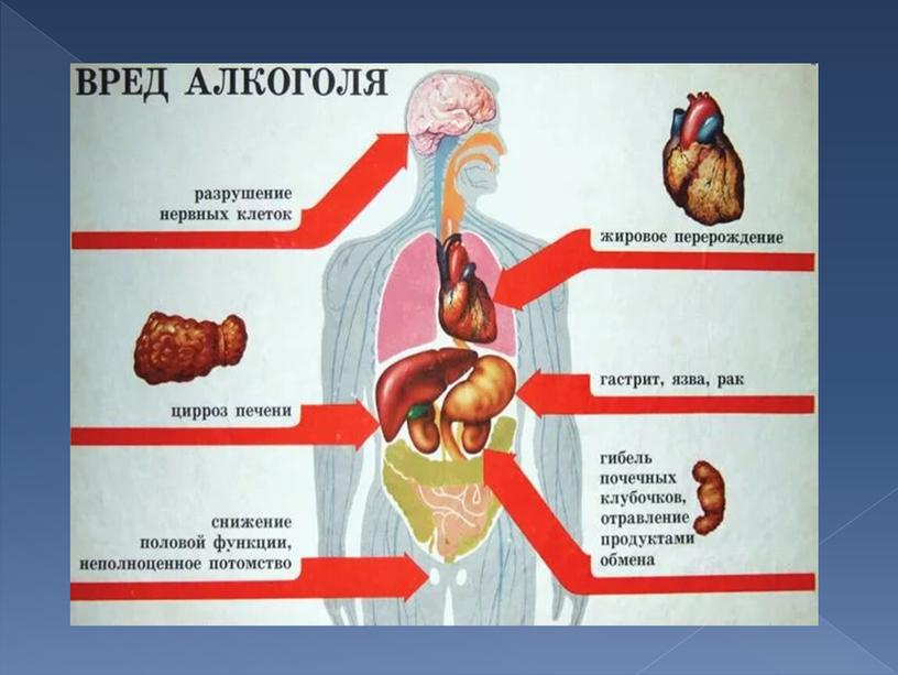 Презентация "Действие спиртов на организм"