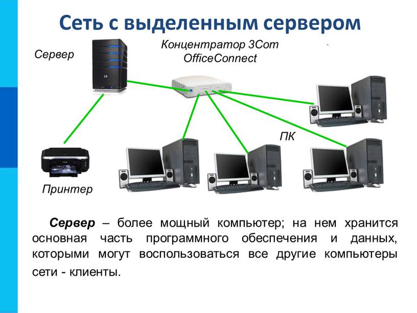 Сеть с выделенным сервером Сервер – более мощный компьютер; на нем хранится основная часть программного обеспечения и данных, которыми могут воспользоваться все другие компьютеры сети…