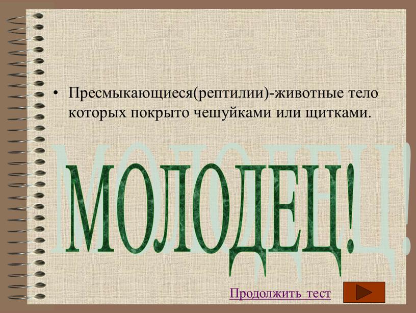 Пресмыкающиеся(рептилии)-животные тело которых покрыто чешуйками или щитками