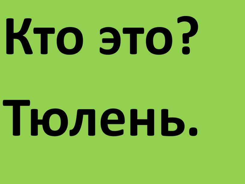 Кто это? Тюлень.