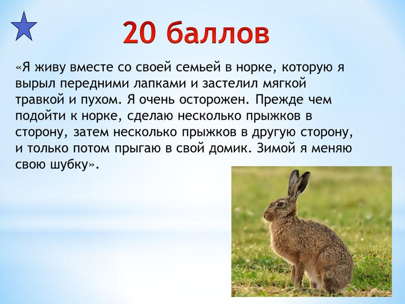 Я живу вместе со своей семьей в норке, которую я вырыл передними лапками и застелил мягкой травкой и пухом